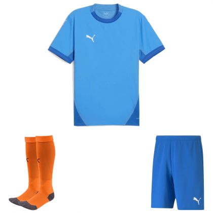 Puma teamFinal Trikotsatz