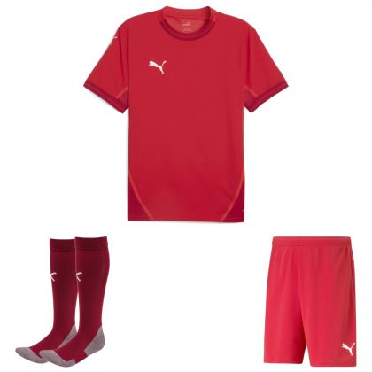 Puma teamFinal Trikotsatz