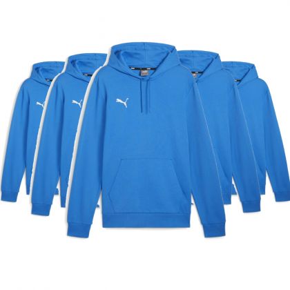 Puma teamGoal Hoody Set