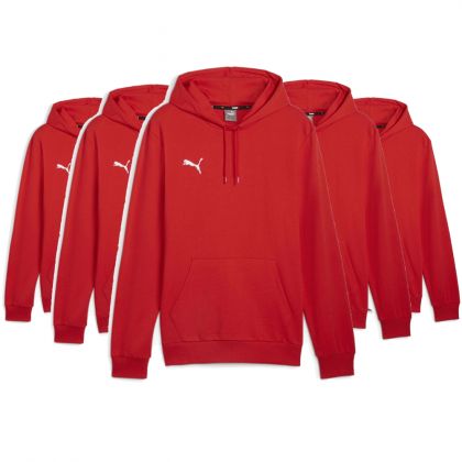 Puma teamGoal Hoody Set