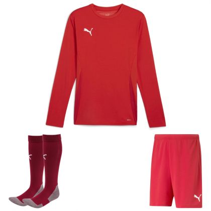 Puma teamGoal Trikotsatz langarm