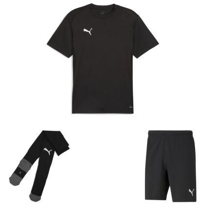 Puma teamGoal Trikotsatz