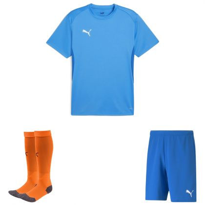 Puma teamGoal Trikotsatz