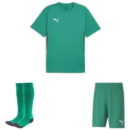 Puma teamGoal Trikotsatz
