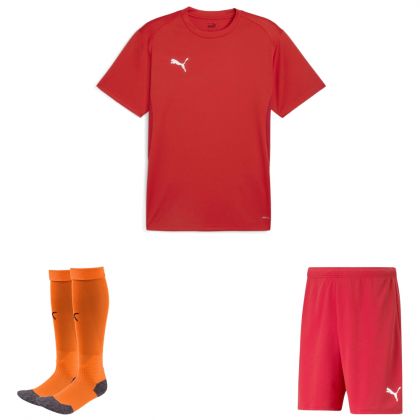 Puma teamGoal Trikotsatz