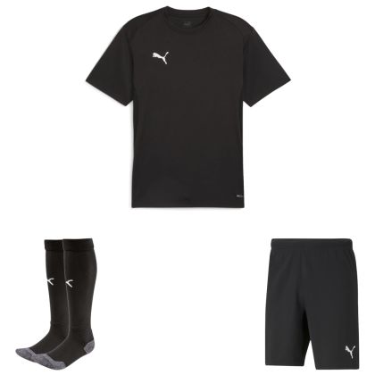 Puma teamGoal Trikotsatz