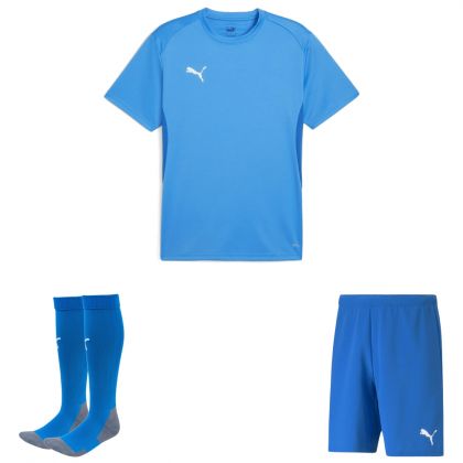 Puma teamGoal Trikotsatz