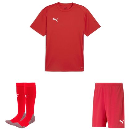 Puma teamGoal Trikotsatz