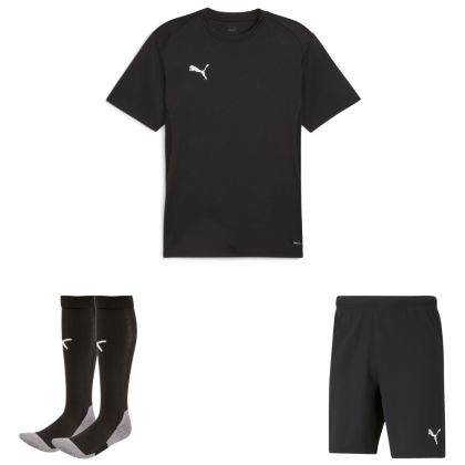 Puma teamGoal Trikotsatz