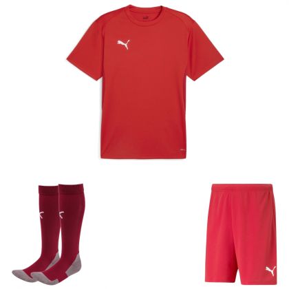 Puma teamGoal Trikotsatz