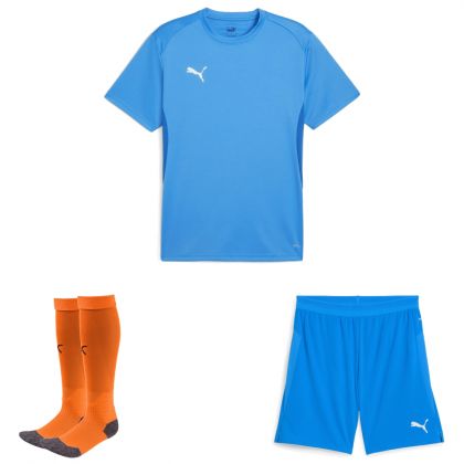 Puma teamGoal Trikotsatz