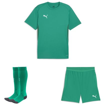 Puma teamGoal Trikotsatz