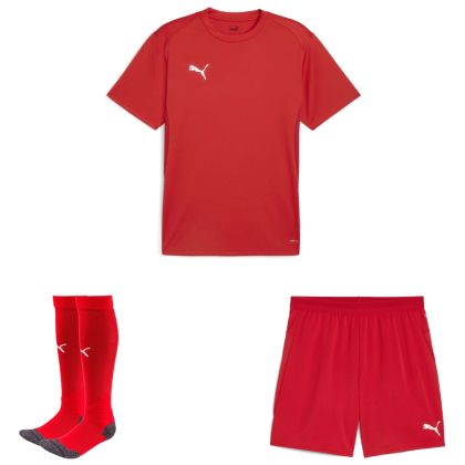 Puma teamGoal Trikotsatz