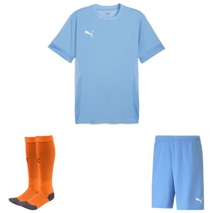 Puma teamGoal Trikotsatz
