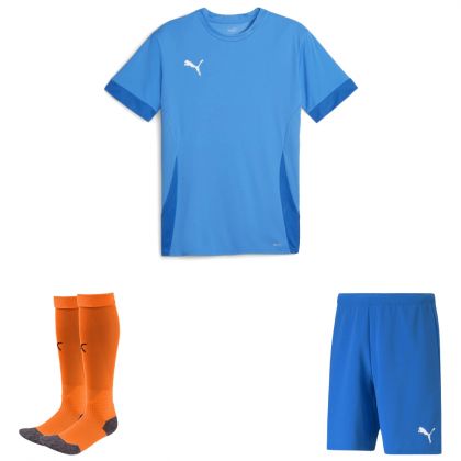 Puma teamGoal Trikotsatz