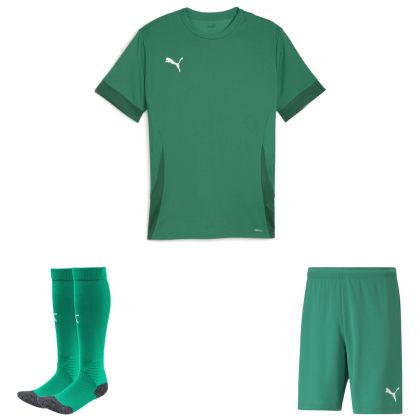 Puma teamGoal Trikotsatz