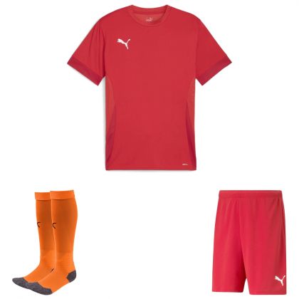 Puma teamGoal Trikotsatz