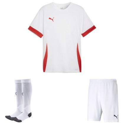 Puma teamGoal Trikotsatz