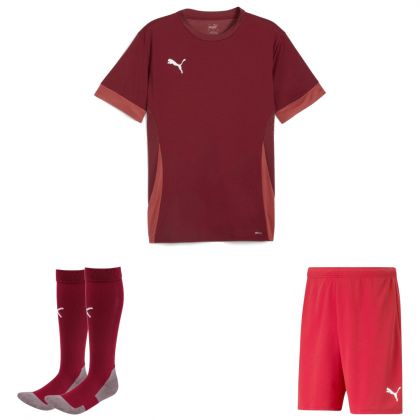 Puma teamGoal Trikotsatz