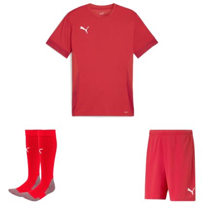 Puma teamGoal Trikotsatz