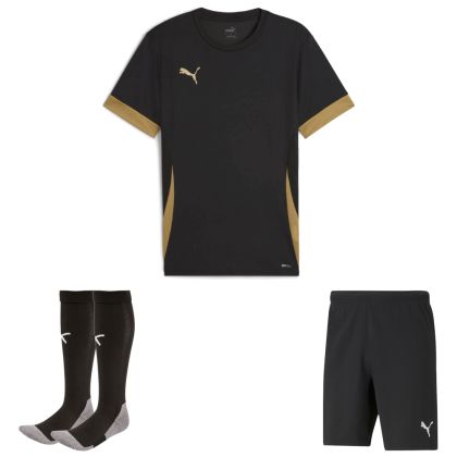 Puma teamGoal Trikotsatz