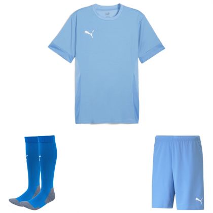 Puma teamGoal Trikotsatz