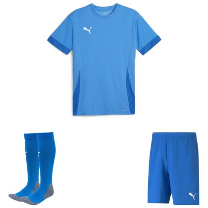 Puma teamGoal Trikotsatz