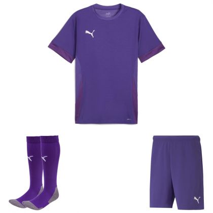 Puma teamGoal Trikotsatz