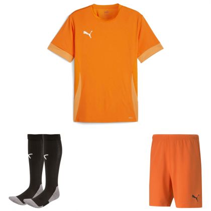 Puma teamGoal Trikotsatz
