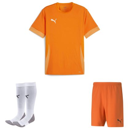 Puma teamGoal Trikotsatz