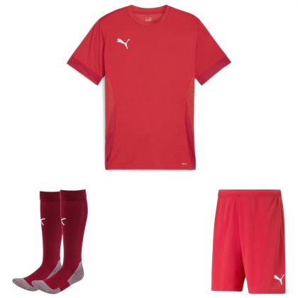 Puma teamGoal Trikotsatz