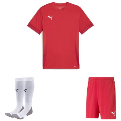 Puma teamGoal Trikotsatz