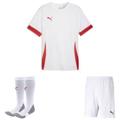 Puma teamGoal Trikotsatz