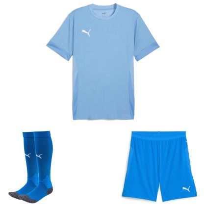 Puma teamGoal Trikotsatz