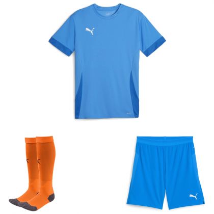 Puma teamGoal Trikotsatz
