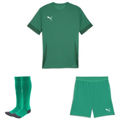 Puma teamGoal Trikotsatz