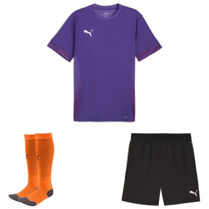 Puma teamGoal Trikotsatz