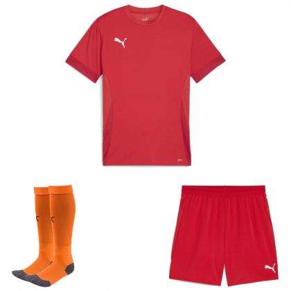 Puma teamGoal Trikotsatz