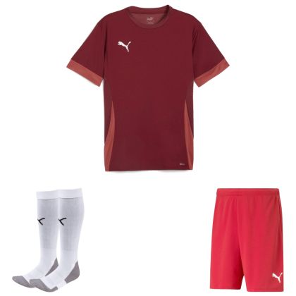 Puma teamGoal Trikotsatz