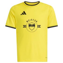 adidas Entrada 26 Meistershirt Logo Kinder Trikot