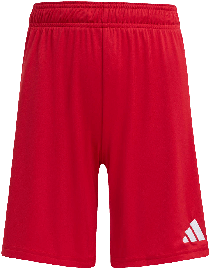 adidas Entrada 26 Shorts
