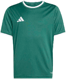 adidas Entrada 26 Trikot