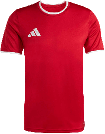 adidas Entrada 26 Trikot