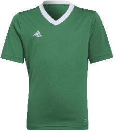 view:front;quality:B;position:5;concreteColor:560;baseColor:953;colorCombination:1108