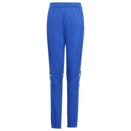 adidas Squadra 25 SV Holdorf Kinder Trainingshose