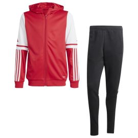 adidas Squadra 25 Sweatanzug Herren Damen 2-teilig Trainingsjacke mit Kapuze Sweathose