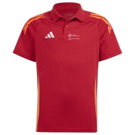 adidas Tiro 24 Competition Badischer FV Kreis Sinsheim Kinder Poloshirt