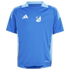adidas Tiro 24 Competition SG Hankenberge/Wellendorf Kinder Trainingstrikot