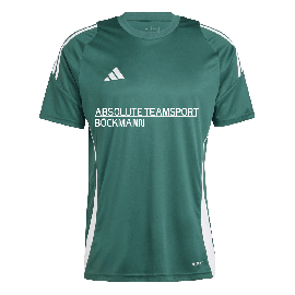 adidas Tiro 24 ATS Böckmann Trikot Tiro 24