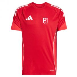 adidas Tiro 25 Competition Flechtinger SV Kinder Fußball Trikot